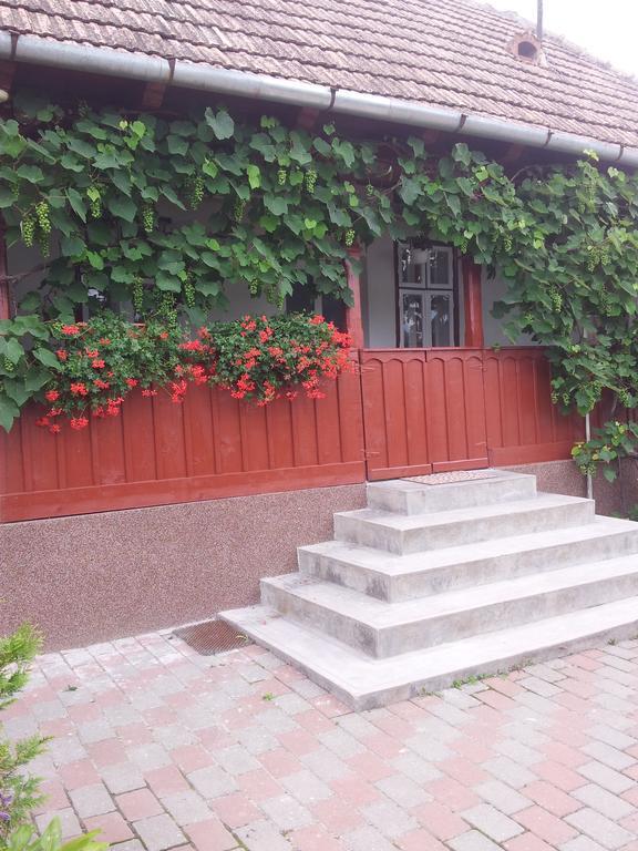 Вілла Casuta Andrey & Dan Mihai Viteazu  Номер фото